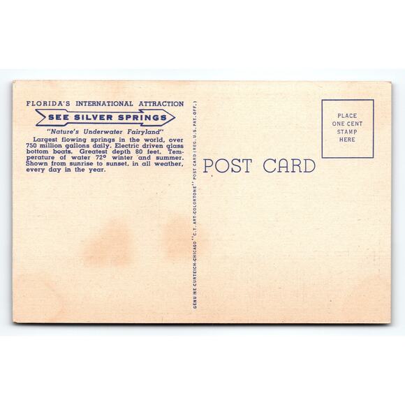 Vintage Linen Postcard Feeding Black Bass Silver Springs Florida 1940s - Picture 2 of 2